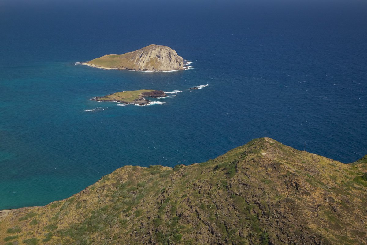 A beautiful view from above of Rabbit Island off Oahu's coast 🌊✨ Did you know? This scenic gem, also known as Manana Island, got its nickname due to its shape resembling a rabbit's silhouette! 🐇🏝️ 

#RabbitIsland #OahuAdventures #IslandHistory