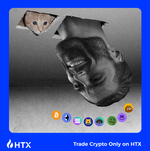 HTX tweet media