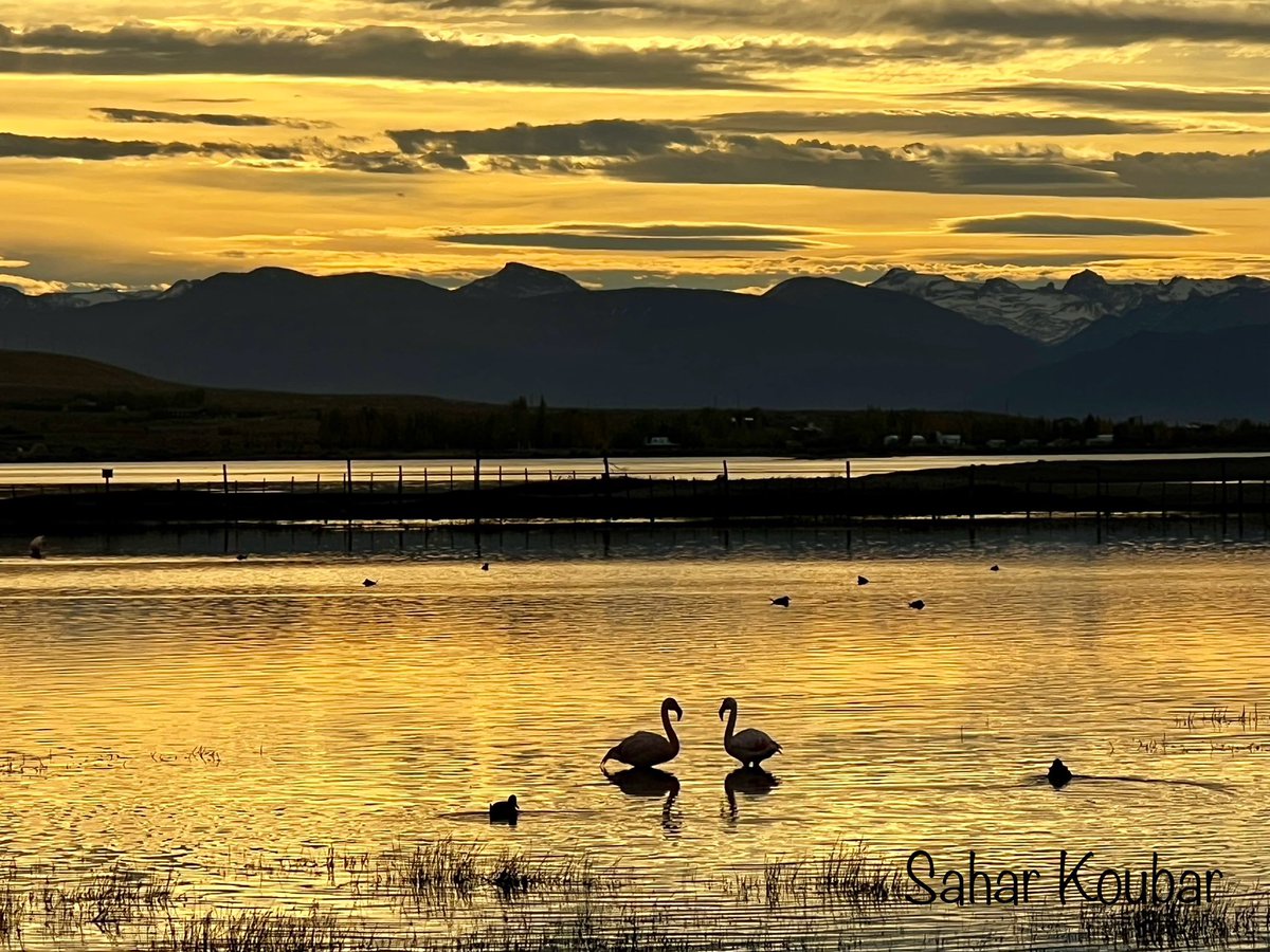 A golden moment💛 #Patagonia