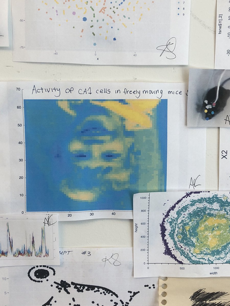 Kaitlin Sullivan, PhD tweet media