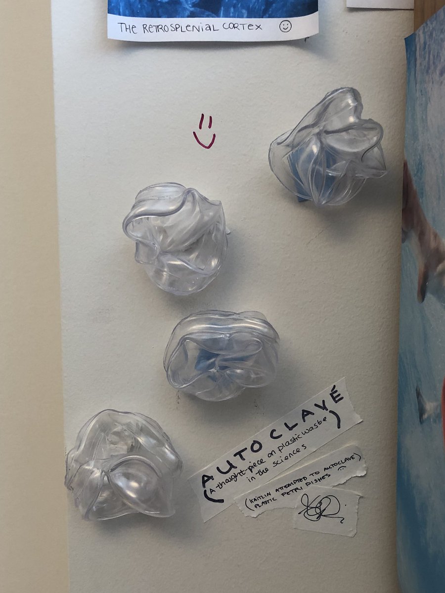 Kaitlin Sullivan, PhD tweet media