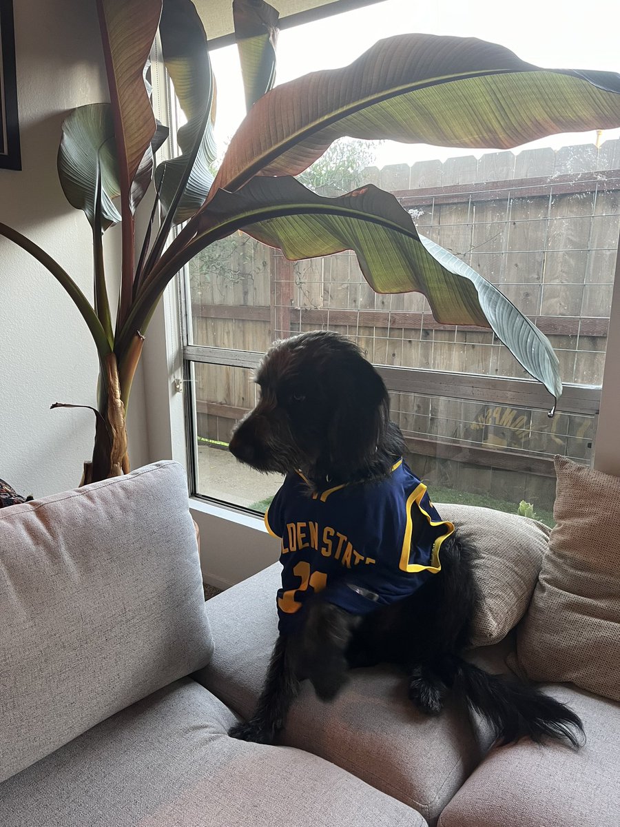 YxGeneral's tweet image. Ruff Start… Lets go Dubs! #NBA #PlayInTournament