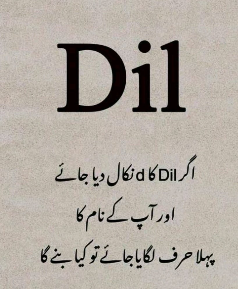 Maryam rafique tweet media