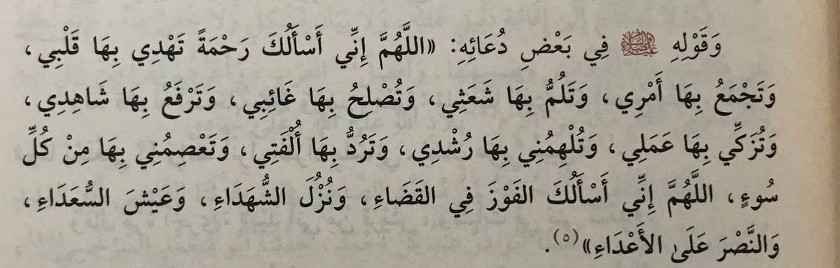 Nourabdur's tweet image. 