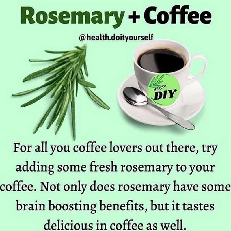 OrganicLiveFood's tweet photo. #Coffee is a primary source of antioxidants and essential nutrients and can boost your metabolism and enhance your workout performance  ☕️ 

https://t.co/XEwmSs8VHu