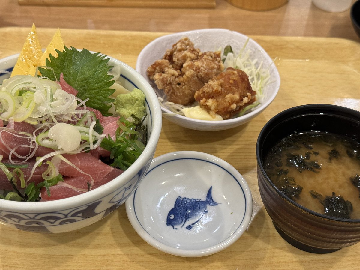 からあげ(@karaage0703) - Twilog (ツイログ)