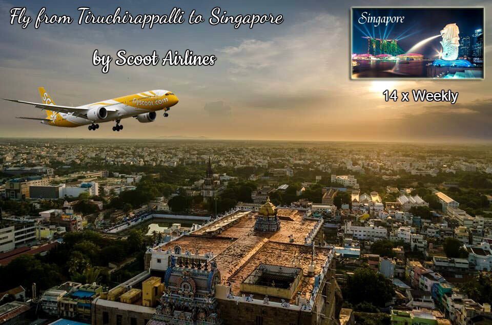 Singapore 🇸🇬 traffic is reaching a new height at Trichy. Scoot is flying double daily between #Singapore and #Trichy & vice-versa with 236 seated Airbus A321. We are expecting more traffic this summer on this route. Plan and book your travel in advance. @flyscoot @SingaporeAir