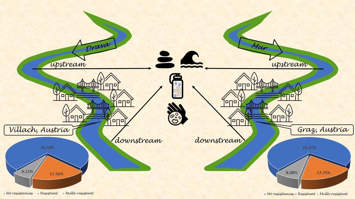 📢 Comparison of the #AntibioticResistance of #Escherichia coli Populations from #Water and #Biofilm in River Environments
👨‍🎓 by Aline Skof et al. @MedUniGraz 
🔗 Full article: mdpi.com/2076-0817/13/2…