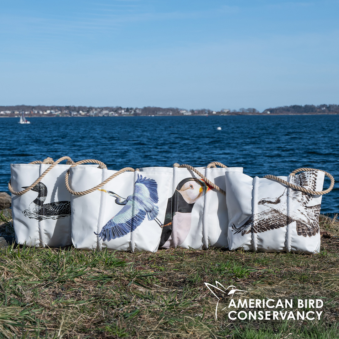 American Bird Conservancy is grateful to Sea Bags for supporting our work! Learn more at bit.ly/3xsFdhW! ⛵ 👜