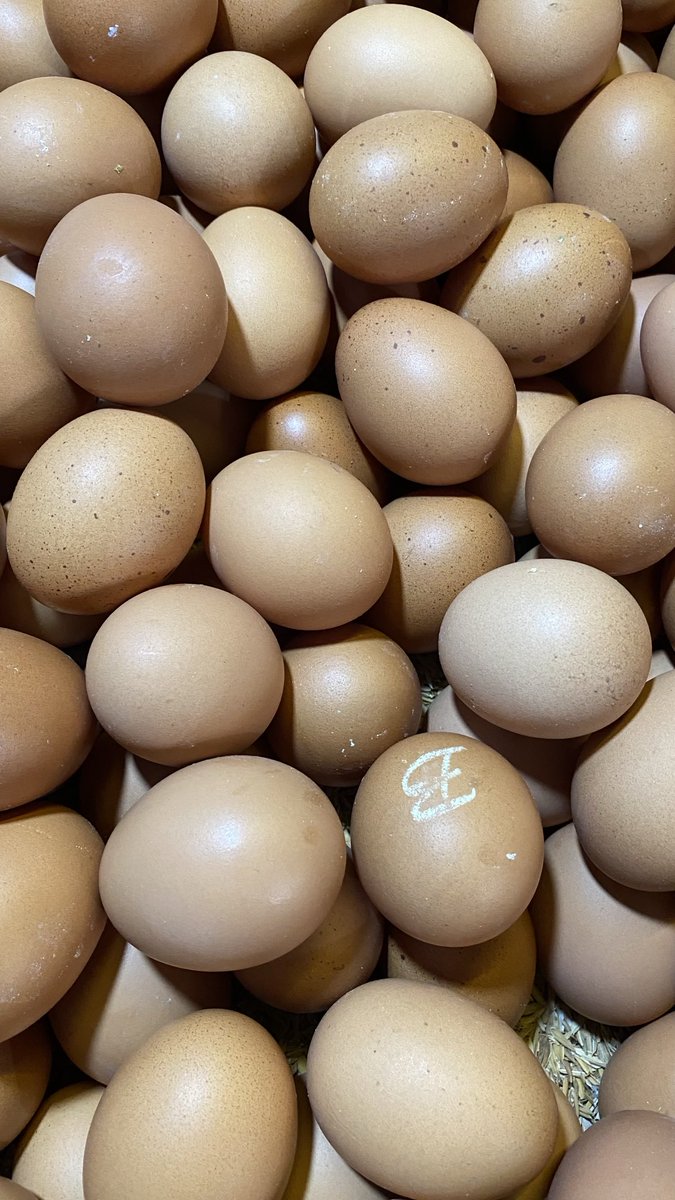 Masak.TV tweet media