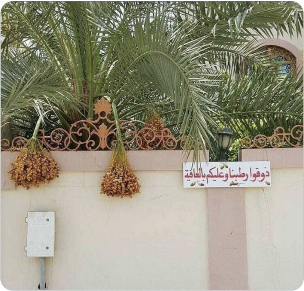 ddkk3312's tweet photo. إنَّ الكِرًامَ وإن ضَاقَت مَعِيشَتُهُم 
 دَامَت فَضِيلتُهُم والأصلُ غلَّابُ 
 لِـلـهِ دَرُّ أُنَــاسٍ أيـنَـمـا ذُكِـرُوا 
 تَطِيبُ سِيرَتُهُم حتَّى وإن غَابُوا https://t.co/zsJyHVoqnn