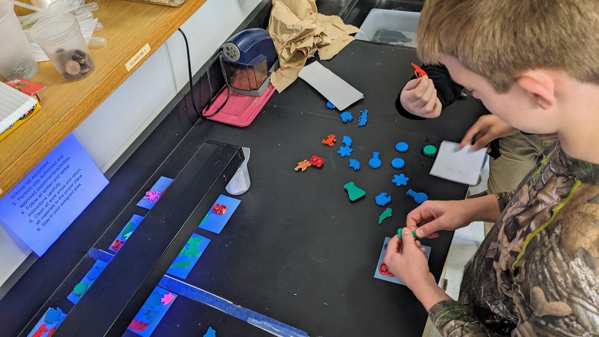 Stephanie Teeter (She/her) tweet media