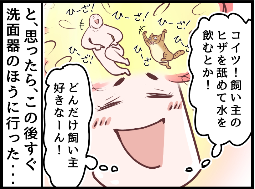 ミュウくんどんだけ飼い主好きなのかと・・・笑

https://t.co/gxwb7aJFrMからまだ未公開の最新話を読むことができます!  #ニャンコ #まんが #猫 #猫あるある #猫漫画 #ペット #飼い主 #エッセイ漫画 #キャット #猫のいる暮らし 