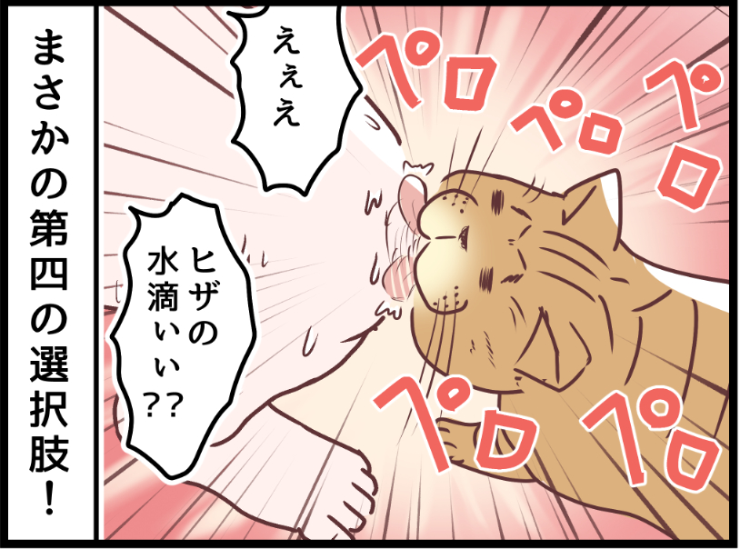 ミュウくんどんだけ飼い主好きなのかと・・・笑

https://t.co/gxwb7aJFrMからまだ未公開の最新話を読むことができます!  #ニャンコ #まんが #猫 #猫あるある #猫漫画 #ペット #飼い主 #エッセイ漫画 #キャット #猫のいる暮らし 