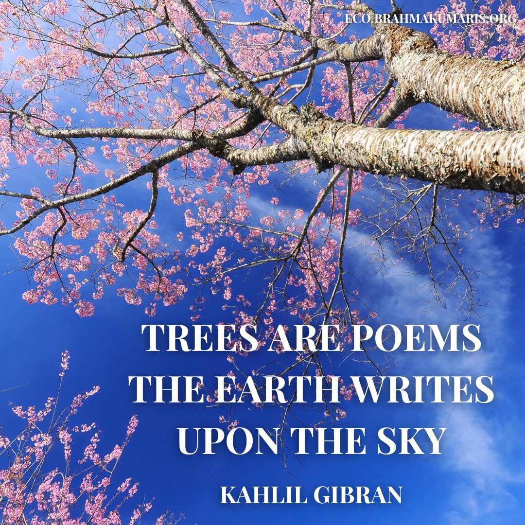 Trees are Poems the Earth writes upon the Sky. #KahlilGibran #ClimateAction #EarthDay #environment #ecobrahmakumaris