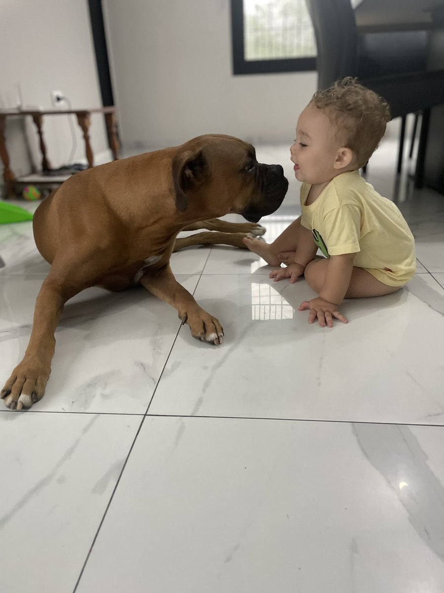 lorselandare's tweet photo. @twaniimals ❤️❤️ https://t.co/2vvldBO0FS