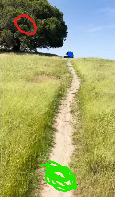 viralvegetable's tweet image. i found the exact location of the hole from the oldest view on google earth btw 😁 #theoldestview #kanepixels