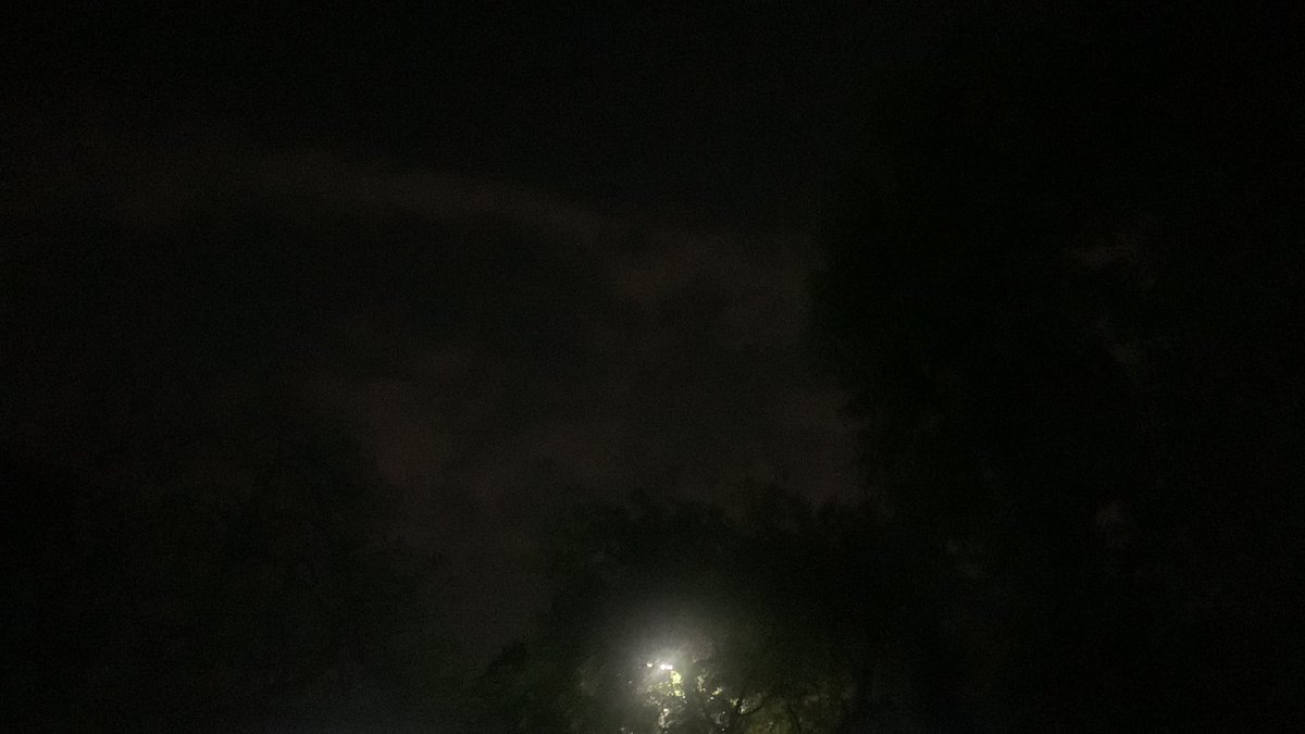 geetave's tweet image. April: last few days of spring in Delhi. #delhispring #welcomesummer