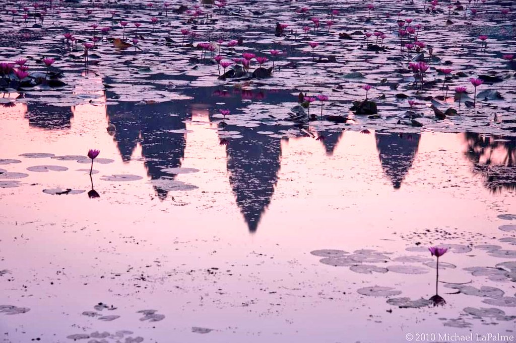 Was reminded by FB 8 years ago today took a photo of the spires of Angkor reflecting on a lotus pool at dawn #Cambodia