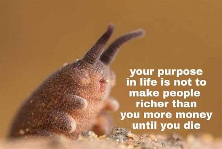 ★☭MassStrikeNow☭★ tweet media