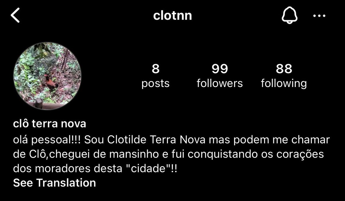 fizeram um instagram pra galinha que apareceu no condomínio estou MORRENDO