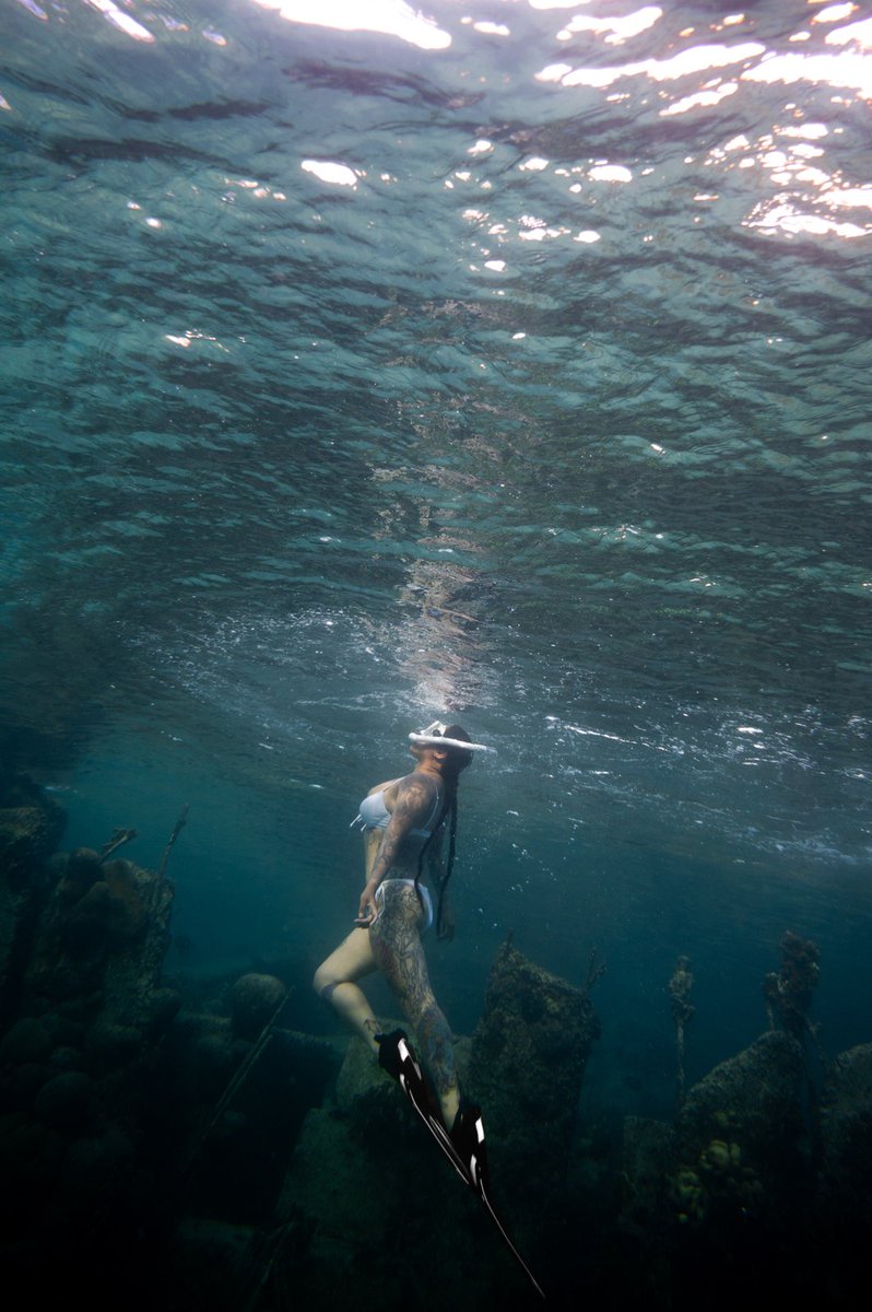 #bonaire #underwater #freedive