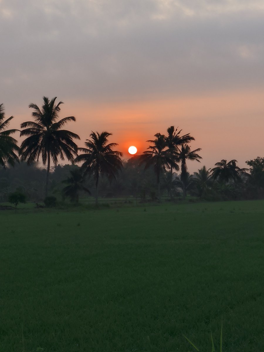 Today's Sun Rise 🌅 
@ChennaiRains 
#Thanjavur
#RamNavami