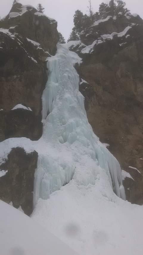 Malekigh @Anthro Expo tweet media