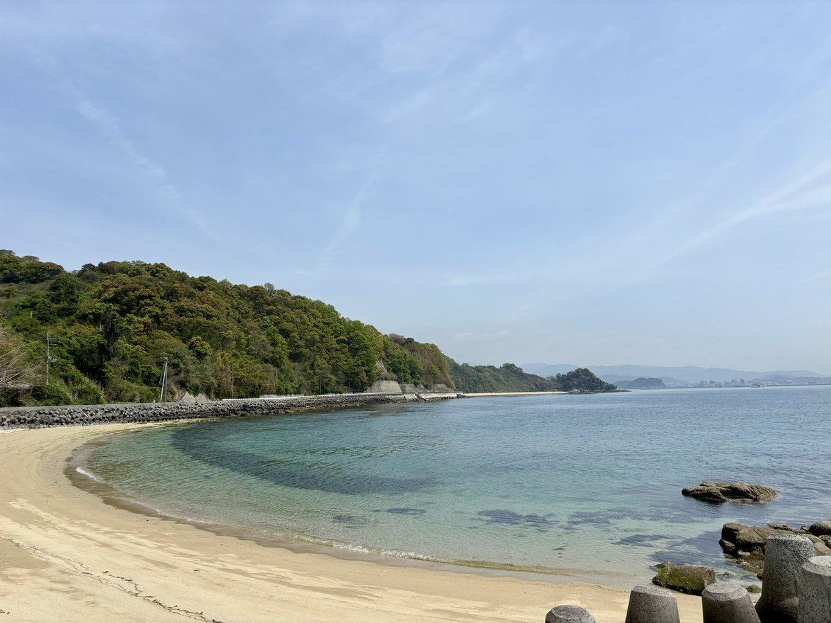 興居島散歩🐶
松山から⛴️で約15分。
恋人岬で出会ったペキニーズちゃんにドキドキ😆
おとなしくていい子🥰
波音も海風も気持ちよかった💛
#トイプードル
#愛媛
#犬のいる暮らし