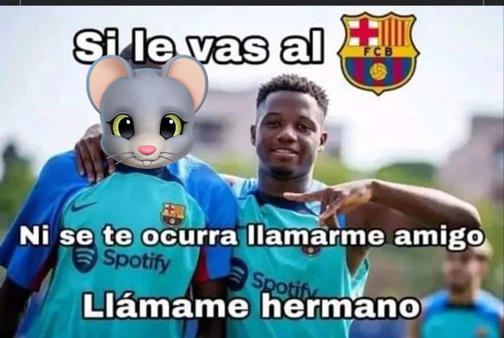 LA P y L _ C U L E R ' tweet media