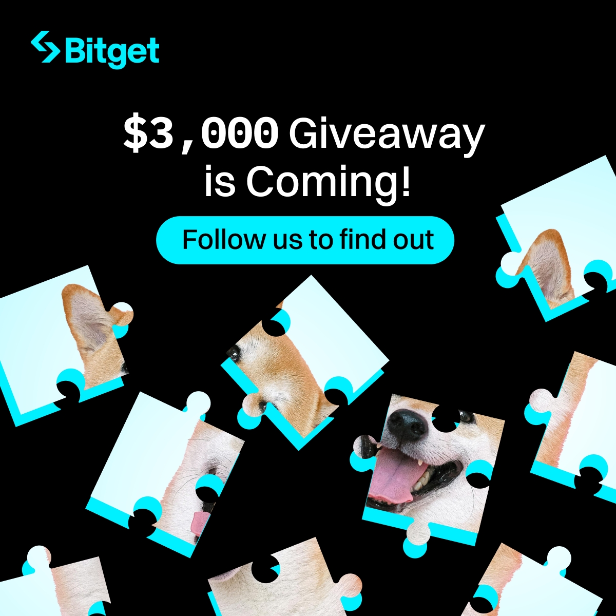 🤫 We're giving away $3,000 worth of _____.

👀 Let's see who gets the answer

👆 Follow us to find out!