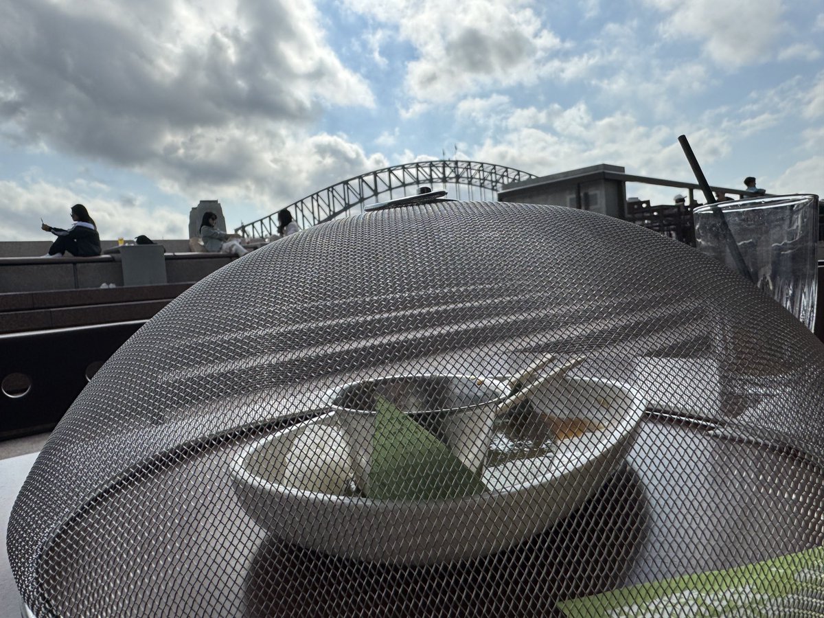 Understand now why the waiter brought the cage for my sushi 🍣: Diving seagull 🐦 grabbed salmon off the top of the sushi right in front of me 😊 Smart seagulls in Circular Quay!