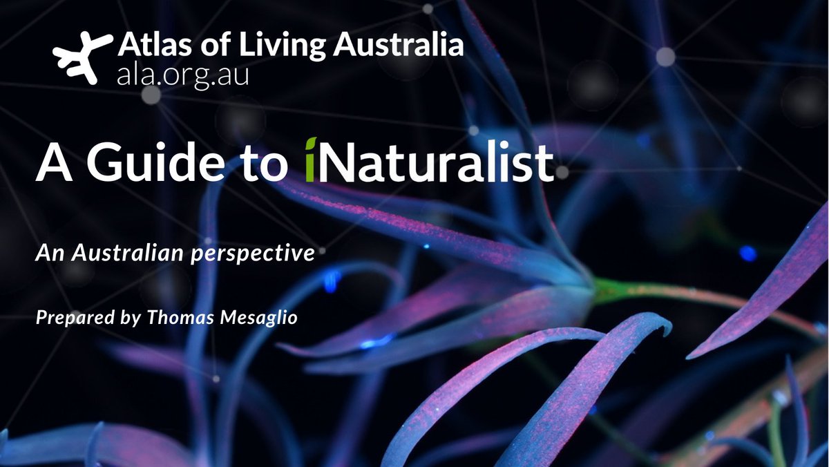 🔎Whether you're an @inaturalist pro or just starting out, 🌱 check out the ALA's 'A Guide to iNaturalist - An Australian perspective.'🐍 Written @thomasmesaglio this is your one-stop-shop for increasing your iNat skills!⭐ 🔗 spr.ly/6010bDnKG #CitizenScience @CitSciOZ