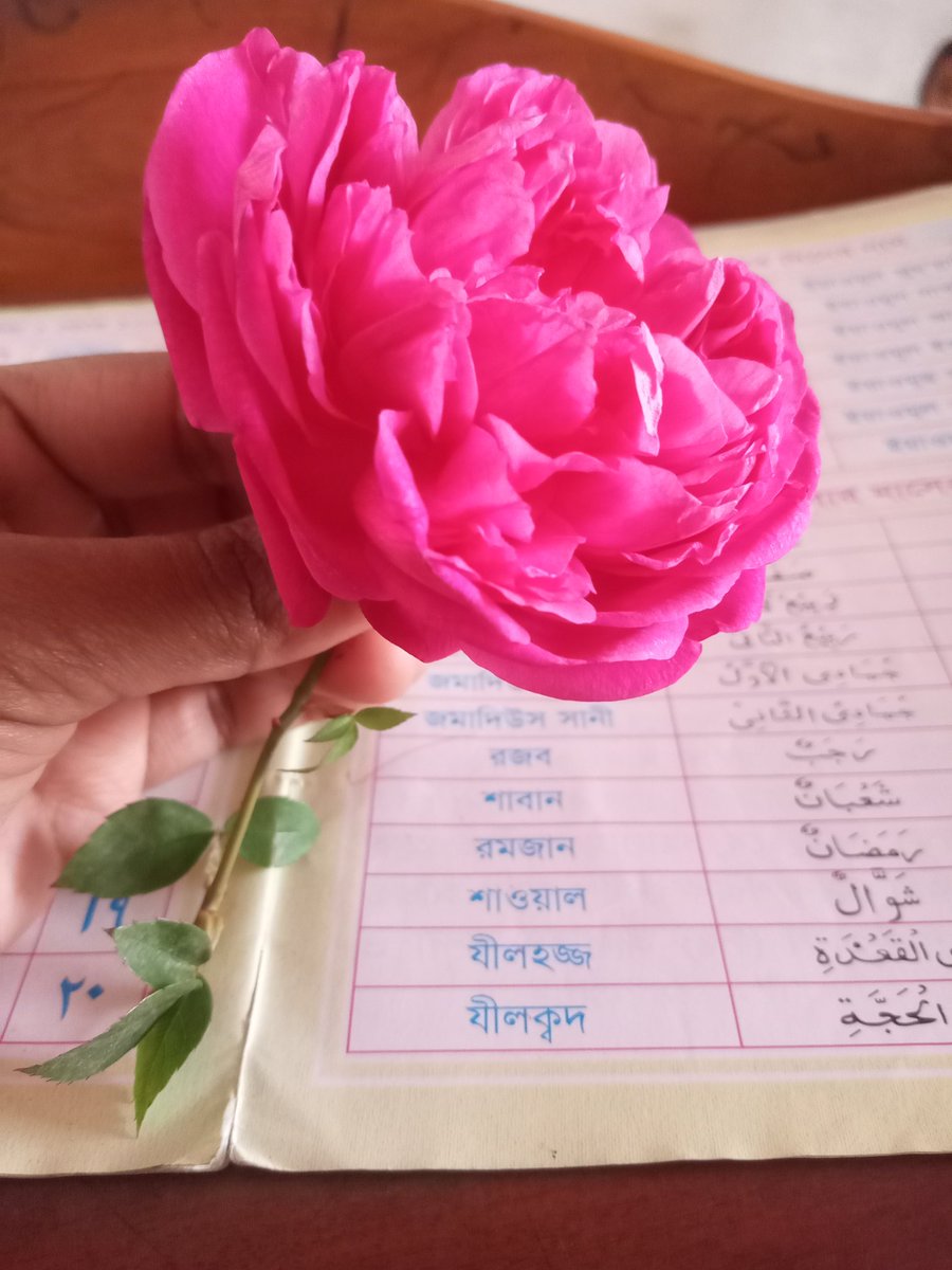 নিশ্চয়ই সকল আমাল (এর প্রতিদান) নির্ভর করে নিয়াতের উপর, প্রত্যেক ব্যক্তির জন্য তাই রয়েছে, যা সে নিয়াত করে। (১:১ বুখারিঃ তাওহীদ পাবলিকেশ

শুভ সকাল 🌹