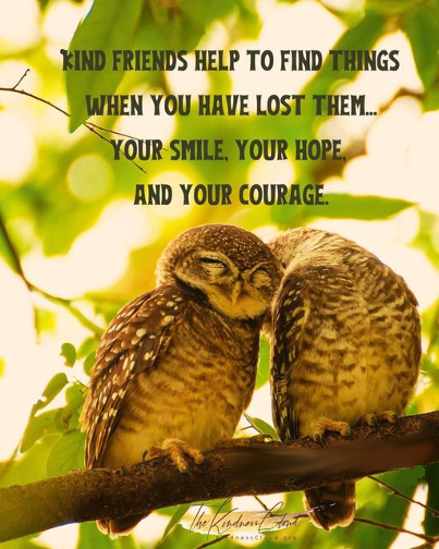 time4kind's tweet photo. .                                     #AlignWithKind https://t.co/UjqHTnv4hF