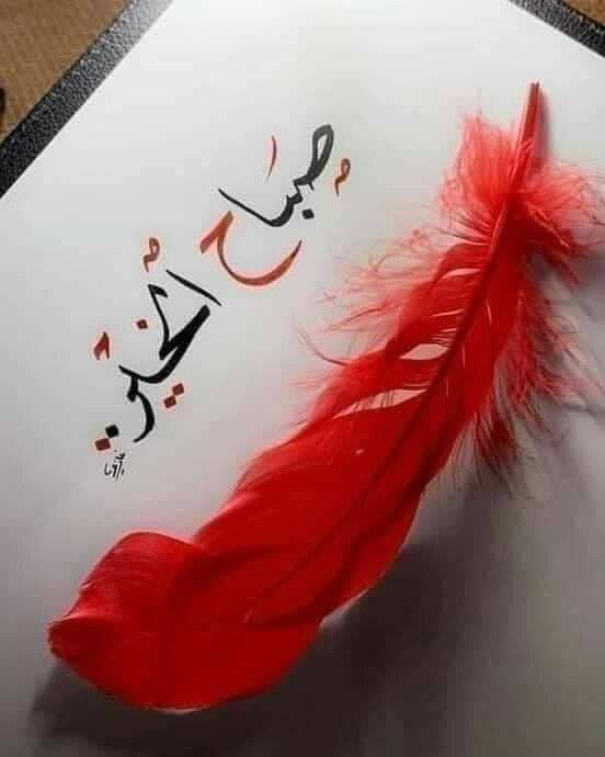 •:↴ '🎼 ❃ ˺ ♡ لآ سعآدهه إلآ في آلعآفيہ ولآ عآفيہ إلآ في آلحمد ، فَ آلحمدلله 'كثيرا.🤍 #صباح_الخير #أميرةالحرف࿐✿∴