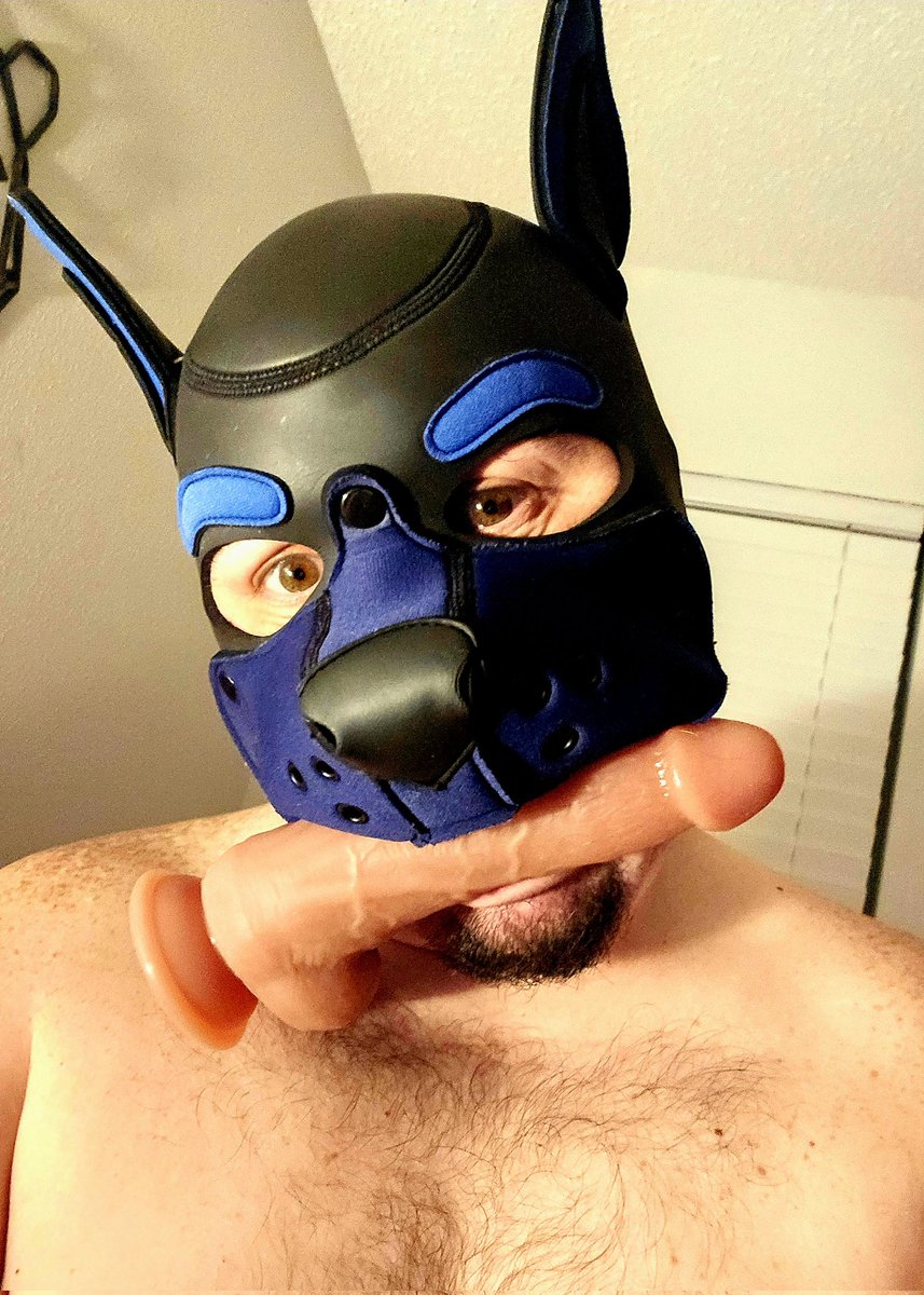 BoogieTheGoGo's tweet photo. Awruff look who got a bone in the mail today😈 figured I'd take care of my own holes since no one wants to treat puppy right these days.
Sighhh.... these are the days of our demisexual life
#gaypup #goodboy #subfordads https://t.co/EBqbUK4OQr