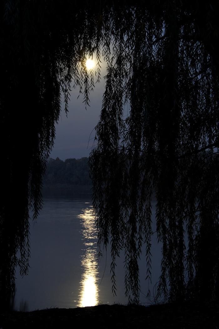 After last nights severe weather in my neck of the woods, we are back to normal with a full moon I don’t do justice by. Night y’all,