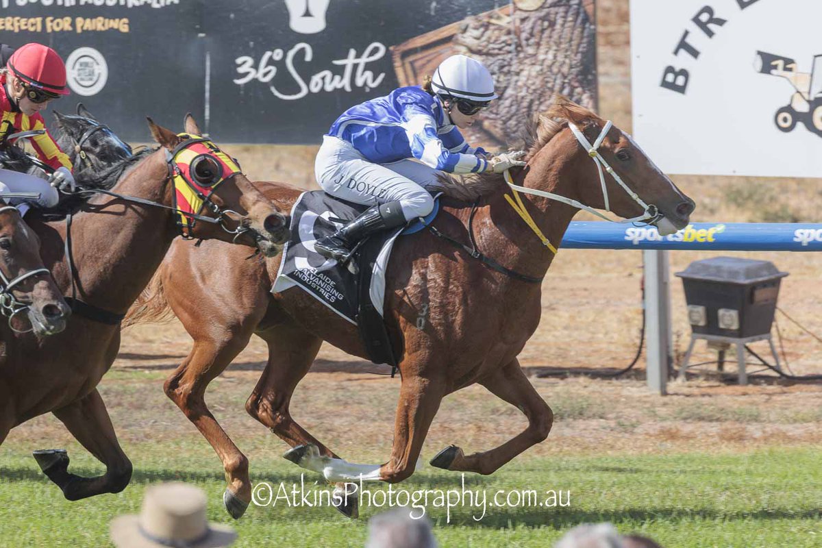 Terry Hann (@terry_hann) on Twitter photo Gordon Richards & Damien Moyle, Jade Doyle and Intacto teamed up to win the My Butcher Maiden Plate at Balaklava. <a href="/RacingSA/">Racing SA</a> <a href="/CountryRacingSA/">Country Racing SA</a> <a href="/BalaklavaRacing/">Balaklava Racing</a> <a href="/racing_gordon/">GVR DM Racing - Comments by C Reynolds</a> <a href="/DamoMoyle/">Damien Moyle</a>
More 🐎📷 AtkinsPhotography.com.au Gordon Richards & Damien Moyle, Jade Doyle and Intacto teamed up to win the My Butcher Maiden Plate at Balaklava. <a href="/RacingSA/">Racing SA</a> <a href="/CountryRacingSA/">Country Racing SA</a> <a href="/BalaklavaRacing/">Balaklava Racing</a> <a href="/racing_gordon/">GVR DM Racing - Comments by C Reynolds</a> <a href="/DamoMoyle/">Damien Moyle</a>
More 🐎📷 AtkinsPhotography.com.au