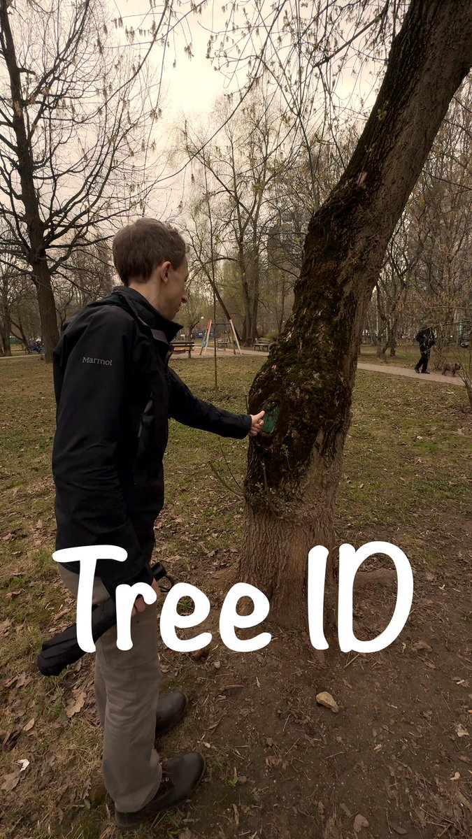 Tree ID #identification #authorization #TouchID Edited in #DavinciResolve credit: bobarev.com youtube.com/shorts/wieNMvF…