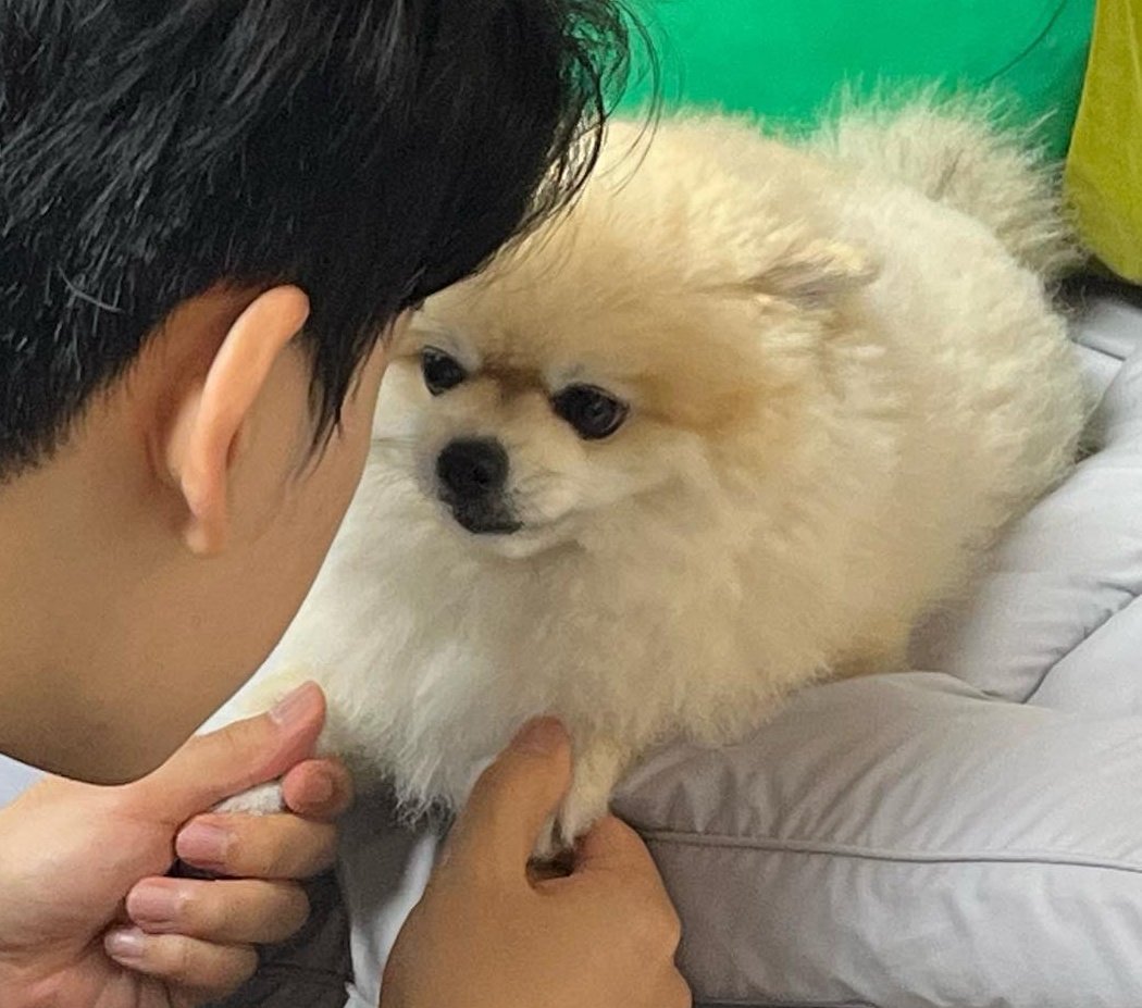 hyoki57's tweet photo. 이사진 둥이가 너무 귀여움.. 저 쪼꼬만 앞발 붙잡혀 있는 게🥹 https://t.co/6TSij14Shv