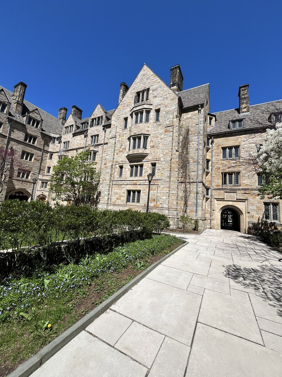 filippo fonseca tweet media