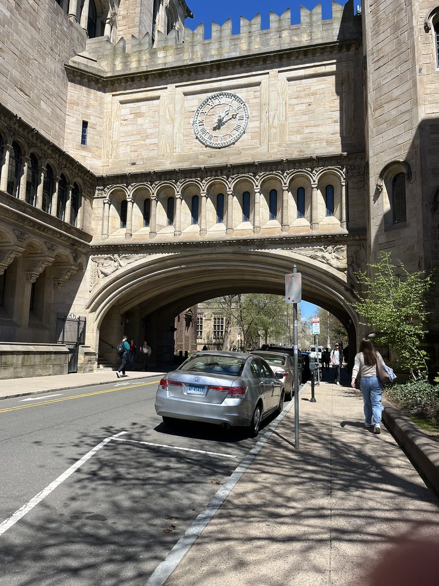 filippo fonseca tweet media