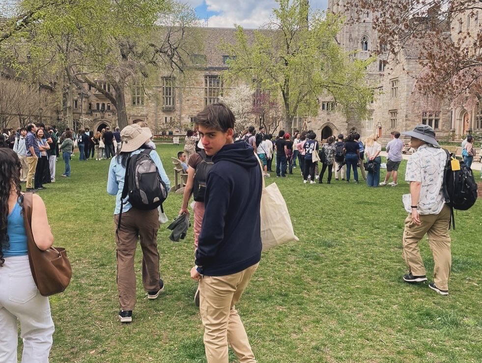 filippo fonseca tweet media