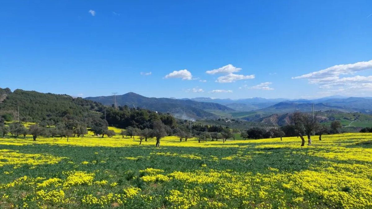 SelloTurismoFam's tweet photo. Esta primavera planifica una excursión familiar a Casarabonela, un municipio que se encuentra ubicada en el Parque NacionalSierra de Las Nieves  y en la  Reserva de la Biosfera del Parque Natural Sierra de las Nieves. @TCasarabonela 
https://t.co/0IMj8Ln8rt https://t.co/0IwQ75xNWL