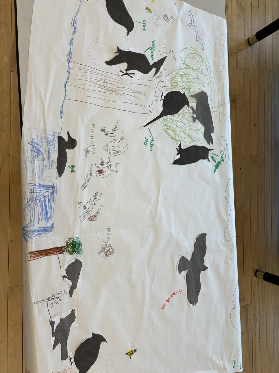 msMecksclass's tweet image. Project Based Learning begins again. 1st graders work in groups to identify bird Silhouettes!
#ForTheBirds #PBL