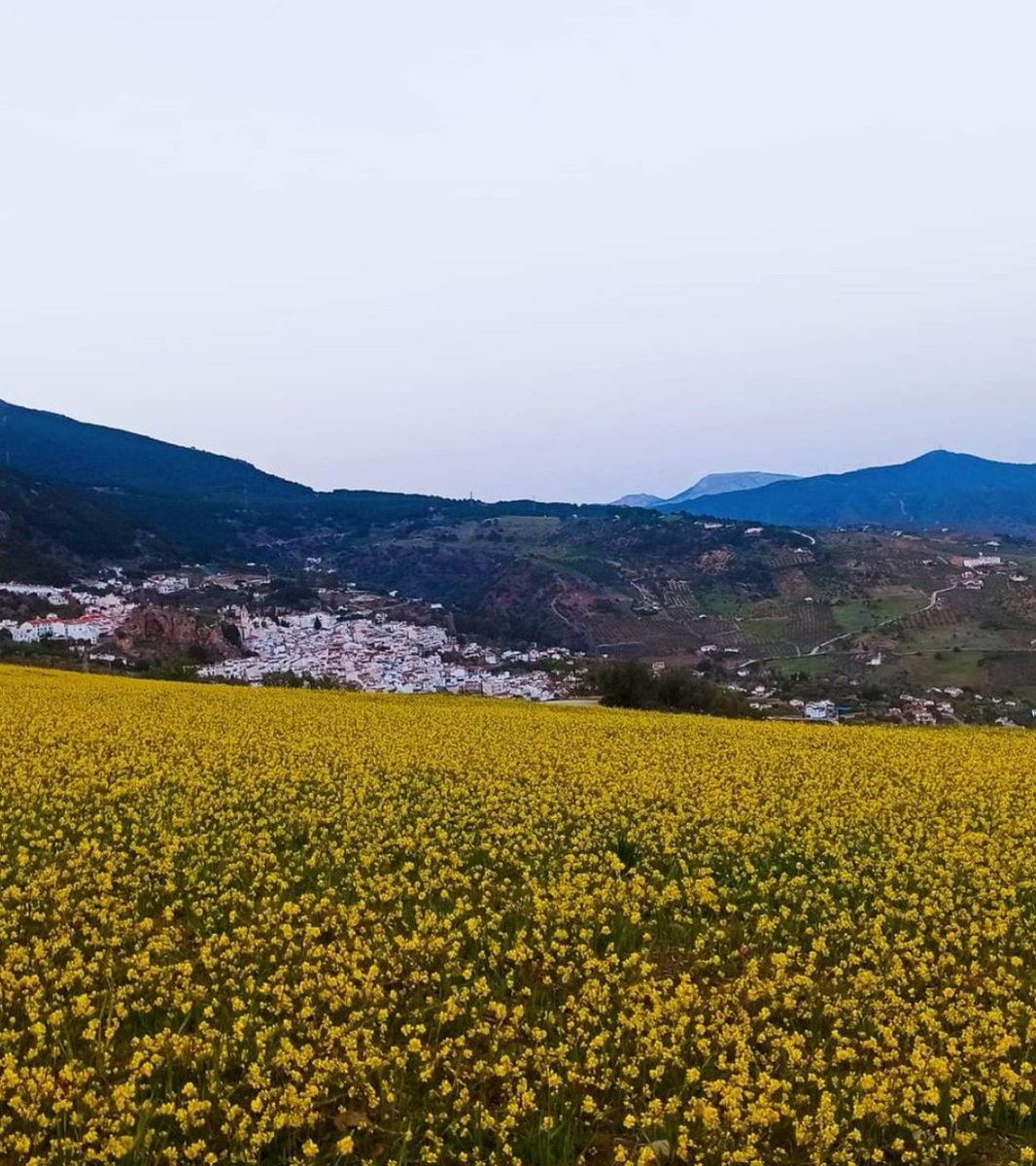 SelloTurismoFam's tweet photo. Esta primavera planifica una excursión familiar a Casarabonela, un municipio que se encuentra ubicada en el Parque NacionalSierra de Las Nieves  y en la  Reserva de la Biosfera del Parque Natural Sierra de las Nieves. @TCasarabonela 
https://t.co/0IMj8Ln8rt https://t.co/0IwQ75xNWL