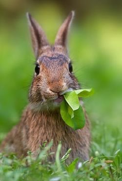 Can we have a date for when filming for 'The Death of Bunny Munro' kicks off? 🙃🐇