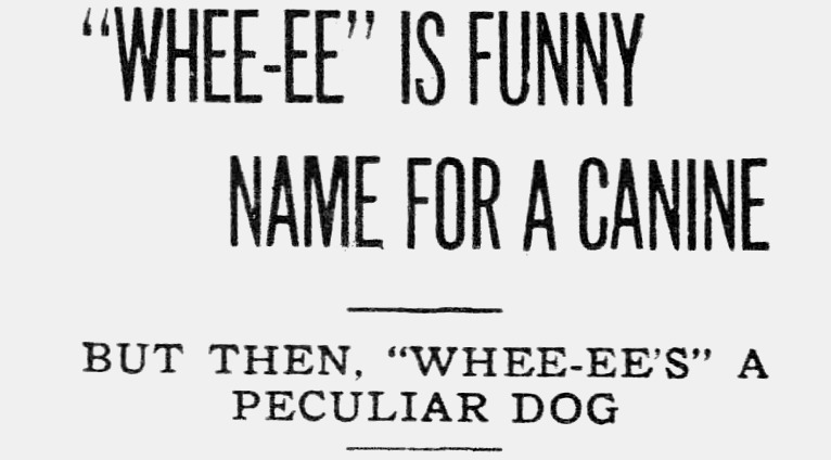 The Tampa Tribune, Florida, December 28, 1919