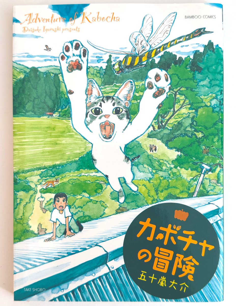 巡回中の 絵本『ねこまがたけ』原画展 にちなみ五十嵐の猫作品をご紹介。

その1 『カボチャの冒険』
https://t.co/wMJwlfMVhM
山の小さな集落で猫と暮らしたエッセイ漫画。リスや蛇と対決する猫の"カボチャ"に振り回されっぱなしです。
#カボチャの冒険
#ねこまがたけ 